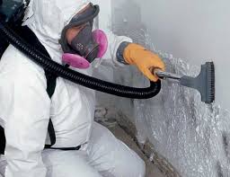 Best Mold Prevention Services  in Dunstan, ME